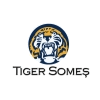 TIGER SOMES SA