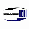 BRANDI-IGH INGENIEURE GMBH