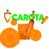 CAROTA GLOBAL TRADE DIS TIC.LTD.STI.