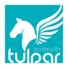 TULPAR LIFT