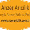 ANZER BALI ANZER ARICILIK