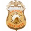 CACIQUE SECURITE PROFESSIONNELLE