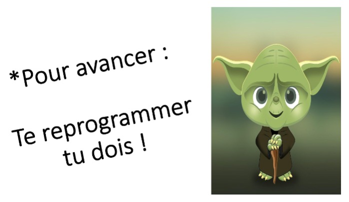 Reprogrammez vous pour la réussite