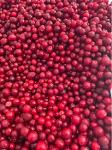 lingonberry